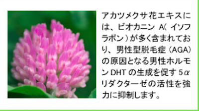 スクリーンショット 2016-06-25 6.34.05.png