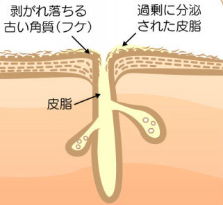 o1038047413863998486.jpg